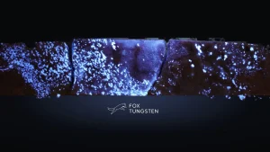 A Low Valuation for One of the Highest-grade Tungsten Deposits