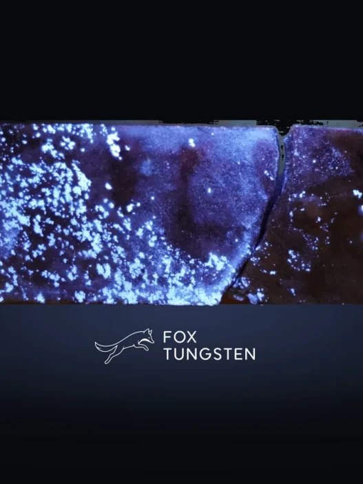 A Low Valuation for One of the Highest-grade Tungsten Deposits