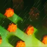Illustration of umbrellas over a circuit board representing tech debt risk