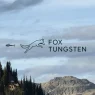 FOXT Is Advancing Across Multiple Fronts!